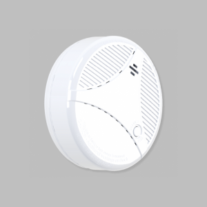 Carbon Monoxide Detector